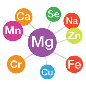 EXCLUSIF double chélation d'acides aminés pour favoriser une dissolution rapide et une absorption maximale des minéraux, du calcium et du magnésium.