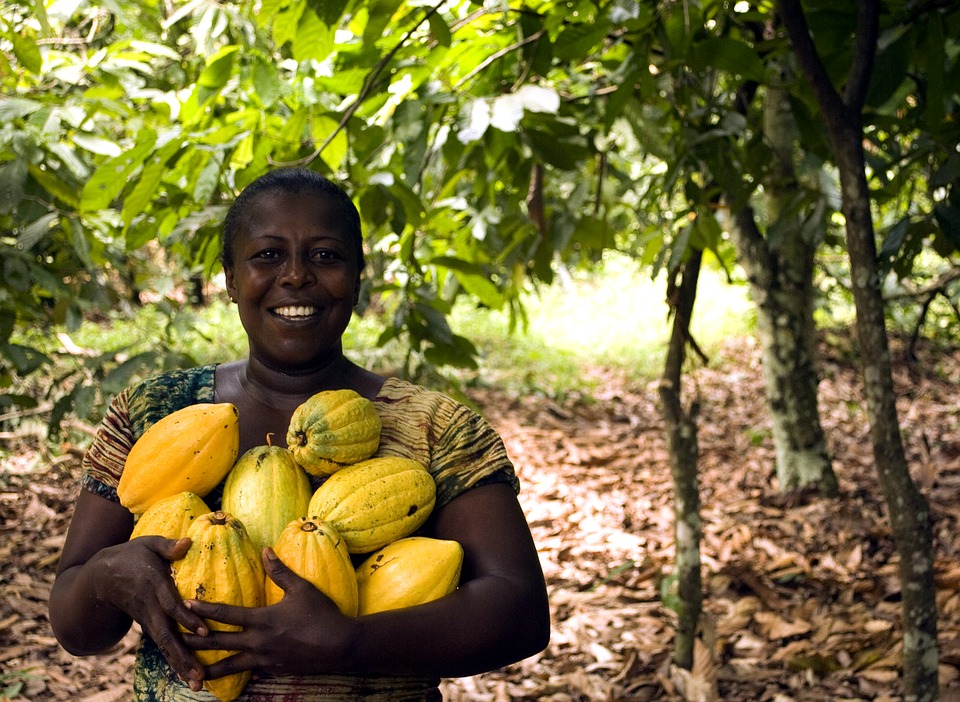 Il est un vrai stimulant des plantes et contient les éléments nutritifs essentiels des plantes (Azote (N), Phosphore (P), Potassium (K) 1) ) Augmente le rendement de la plante et améliore la qualité du produit. 2) Stimulant nutritionnel des plantes en créant les conditions normales de température et de pression 3) Efficace en contre saison ou pendant la sécheresse car réduit la perte d’eau due à l’évaporation et la dispersion 4) Il permet à la plante de faire meilleur usage de l’eau qui s’infiltre et se stabilise autour du système radiculaire de la plante pour lui permettre d’absorber plus rationnellement et ultérieurement les éléments nutritifs. 5) Lutte efficacement contre les vers et parasites présents dans le sol. Avantages spécifiques: 1. Améliore le rendement 2. Améliore la qualité du produit (dure plus en conservation et la qualité est préservée) 3. Réduit le besoin d’eau de la plante 4. Renforce le système d’autodéfense des plantes 5. Engrais organique biodégradable, non agressif 6. Ne détruit point le ph du sol 7. Utilisable à toutes les étapes de développement des plants et sur tout type de culture (dès la pépinière) Le SUPER GRO est la solution au besoin en nutriments de tous vos plants. Mode d'emploi : Diluer 1 ml de Super Gro dans 1 litre d'eau 15 ml pour 15 litres d'eau. 5 litres de Super Gro pour 5 000 litres d'eau. Pulvérisé la plante, pulvérisé encore après 1 mois. Fabricant : GNLD-NEOLIFE international