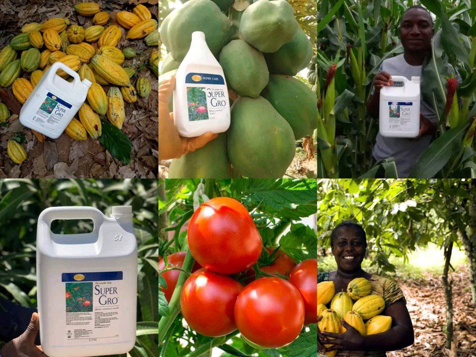 engrais bio est un composé spécial de GNLD NEOLIFE qui réduit le besoin en eau des plantes et augmente votre rendement agricole de 300%.